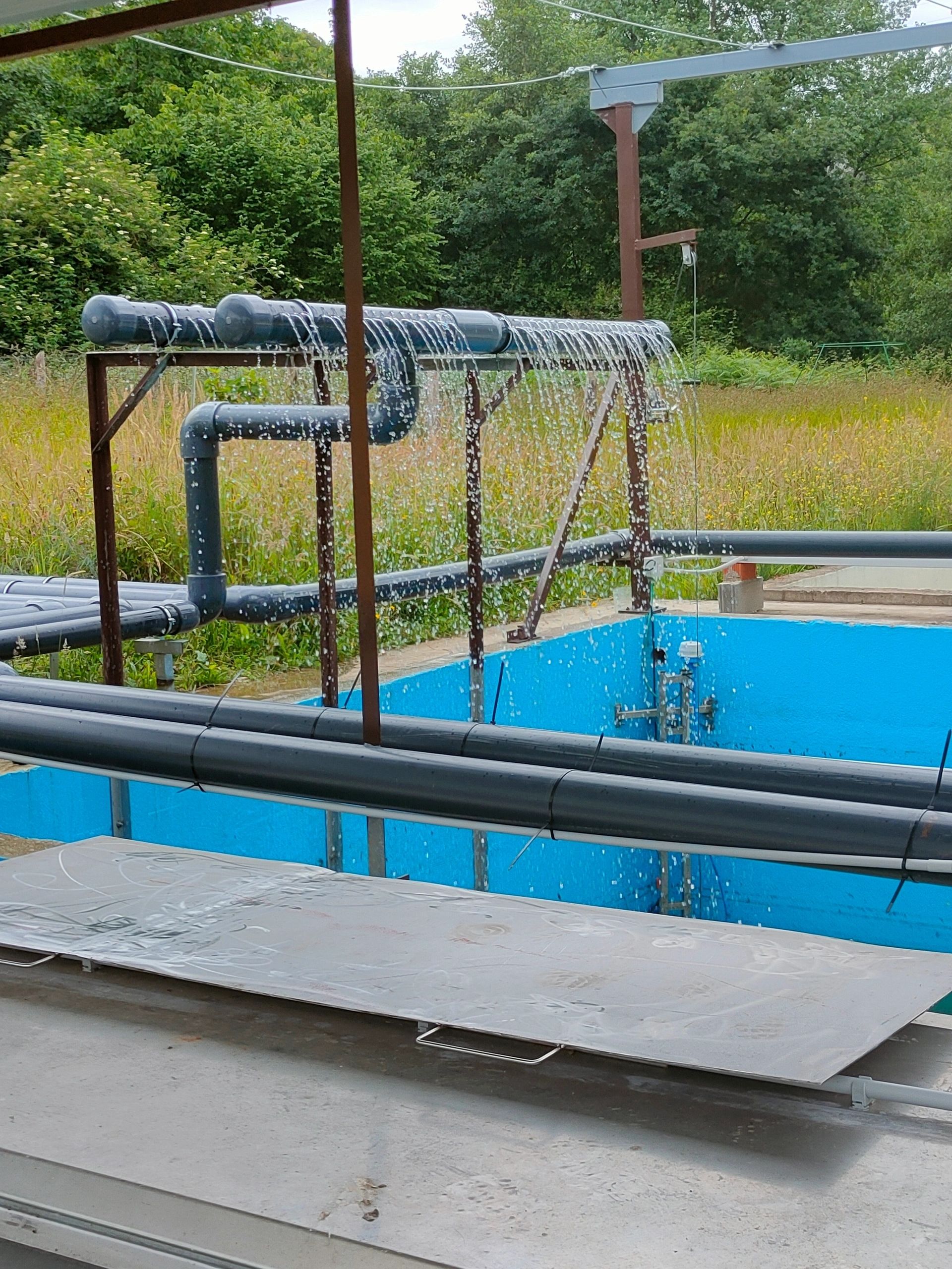 Vegetación en el sistema productivo